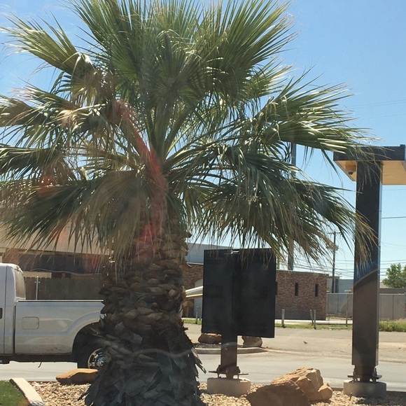 Meet your Posher, Jenna - Picture 1 of 1